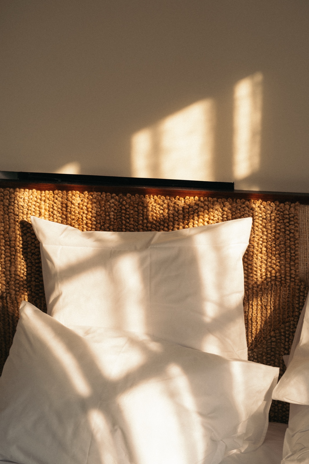 Photographe domaine viticole — Domaine Robert