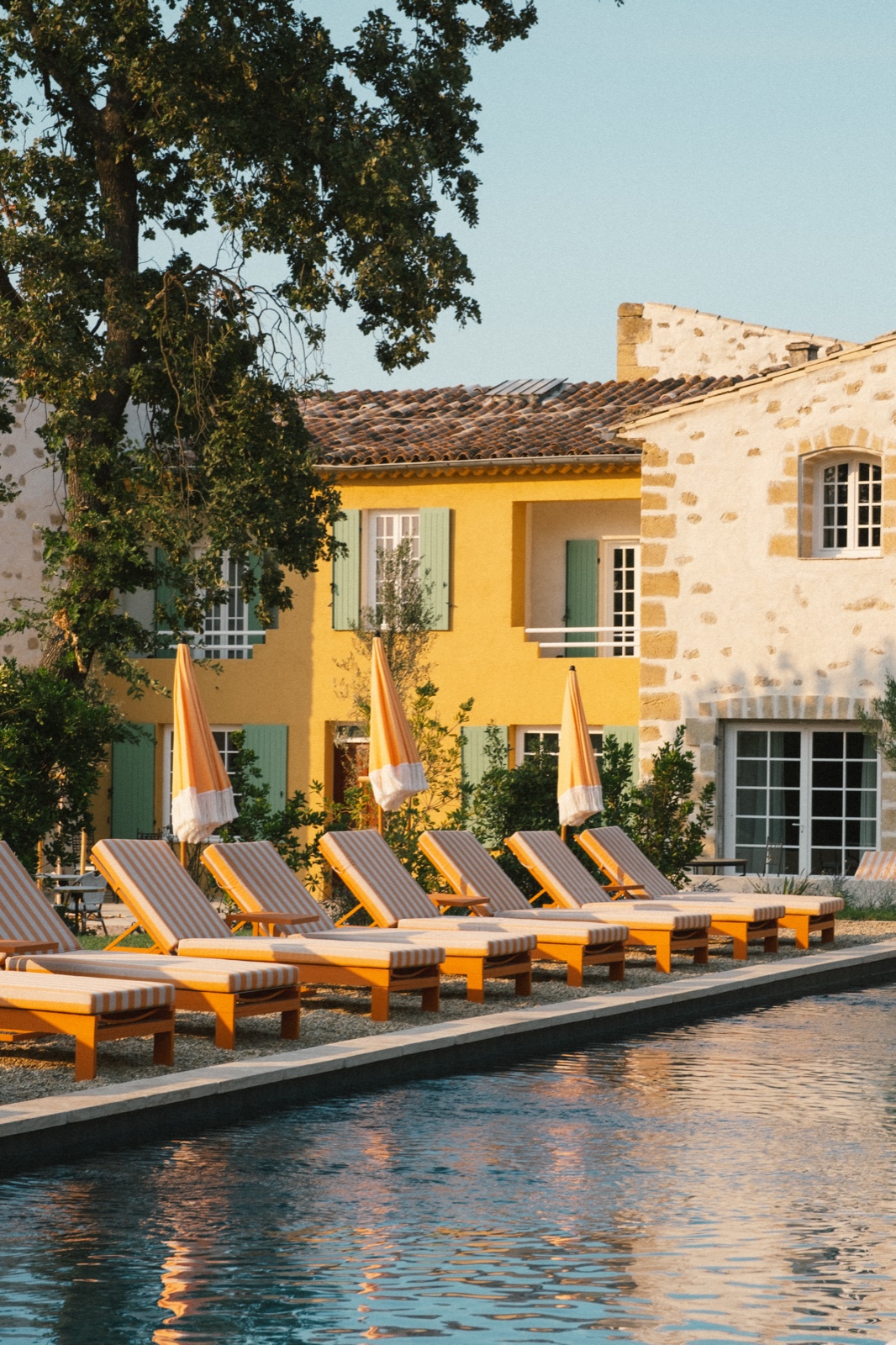Photographe domaine viticole — Domaine Robert